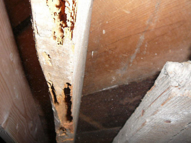 McCall, Idaho Home Inspections ASHI Certified Inspector