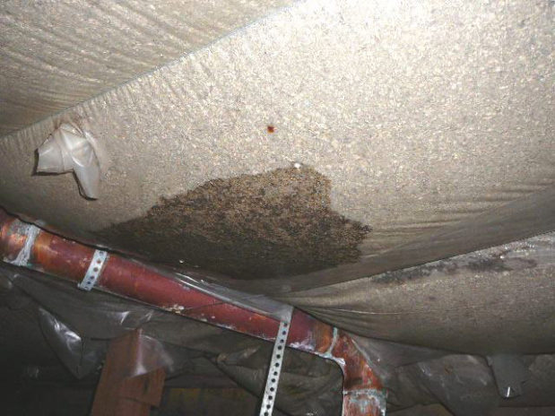 McCall, Idaho Home Inspections ASHI Certified Inspector