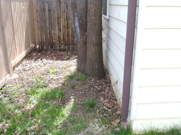 McCall, Idaho Home Inspections ASHI Certified Inspector