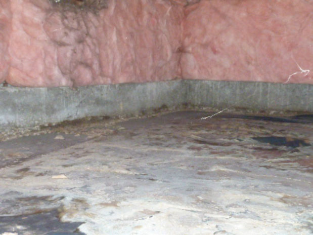 McCall, Idaho Home Inspections ASHI Certified Inspector