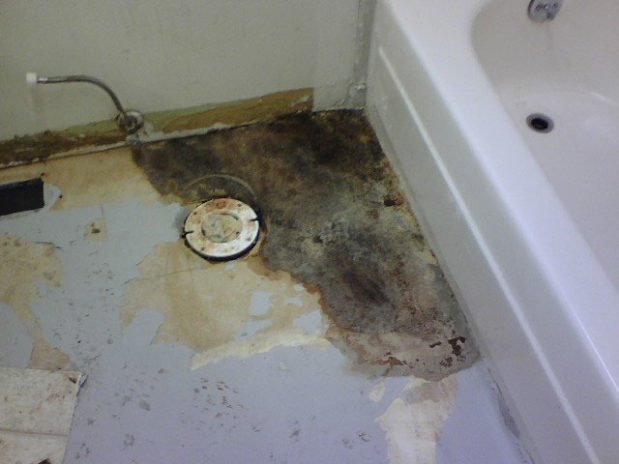 McCall, Idaho Home Inspections ASHI Certified Inspector